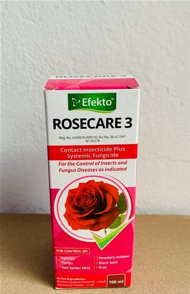 種玫瑰|Rosecare 栽培管理